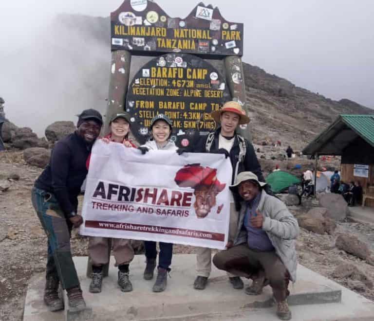 8 Days Kilimanjaro Lemosho Route