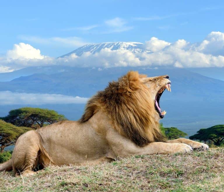 5 Days Amboseli National Park Safari Holiday