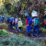 Kilimanjaro hiking (24)