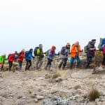 Kilimanjaro hiking (30)