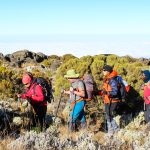 Kilimanjaro hiking (32)