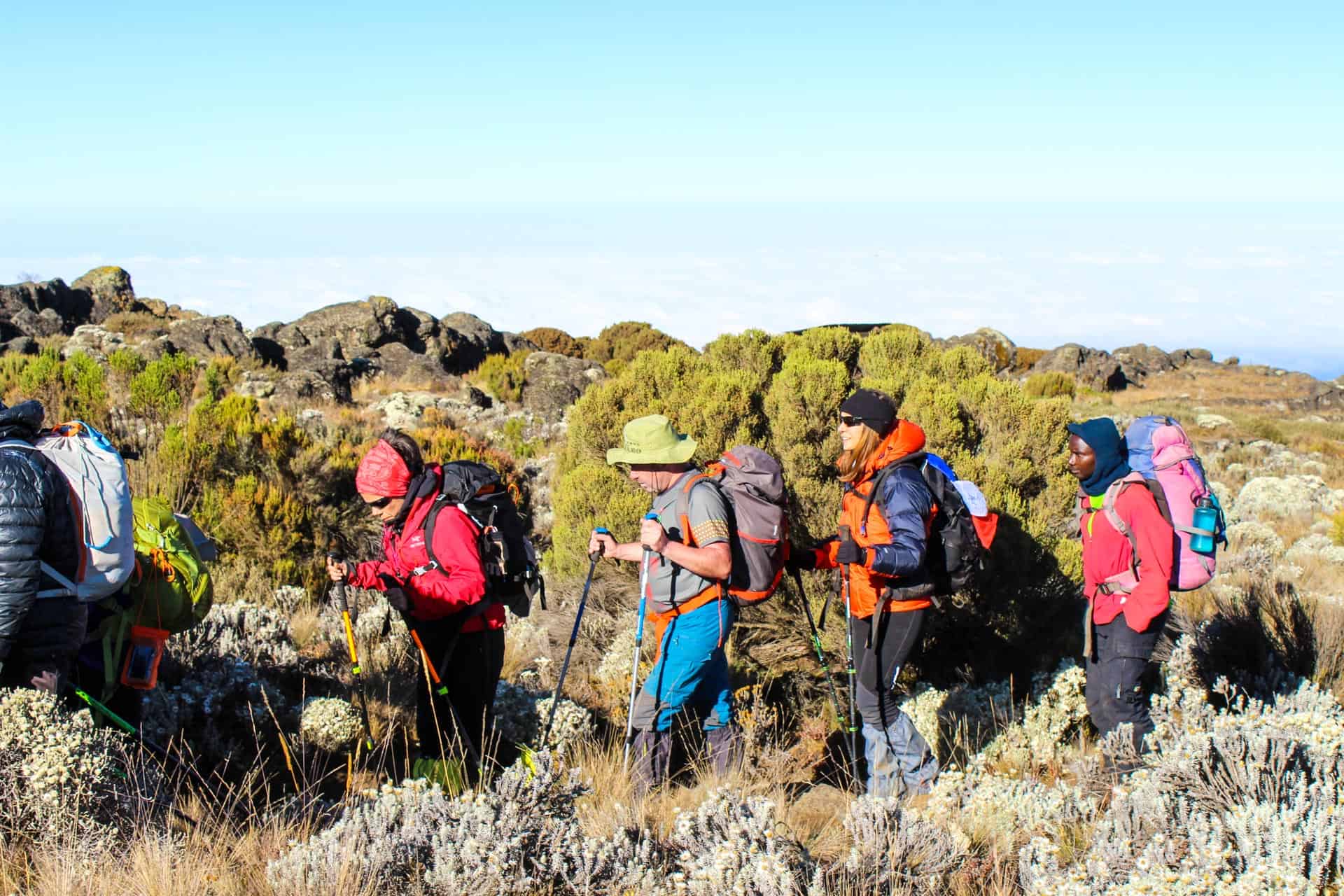 Kilimanjaro hiking (32)