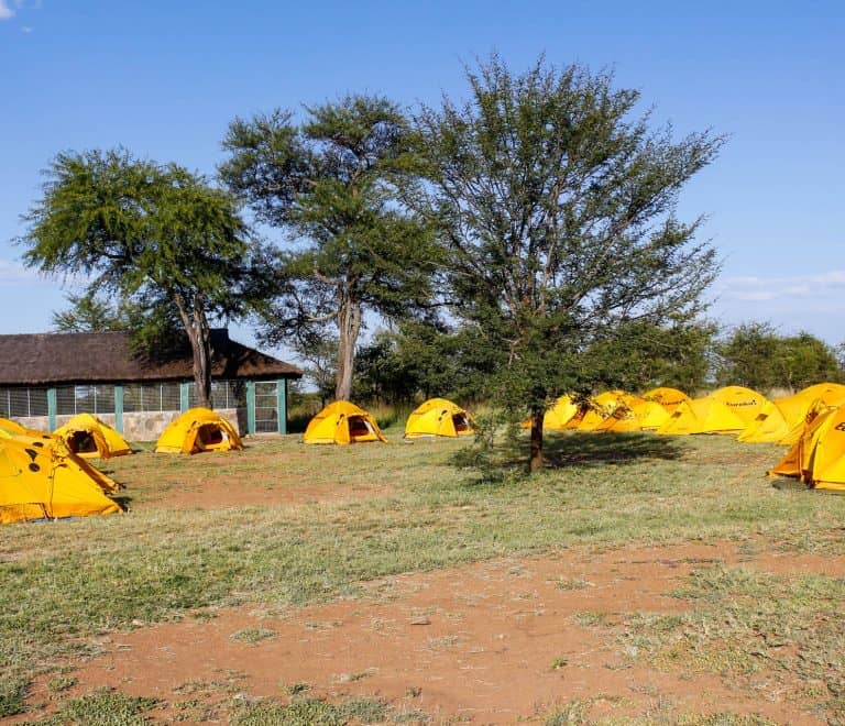4 Days Northern Circuit Camping Safari