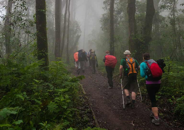 6 Days Kilimanjaro Machame Route