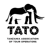 Tato