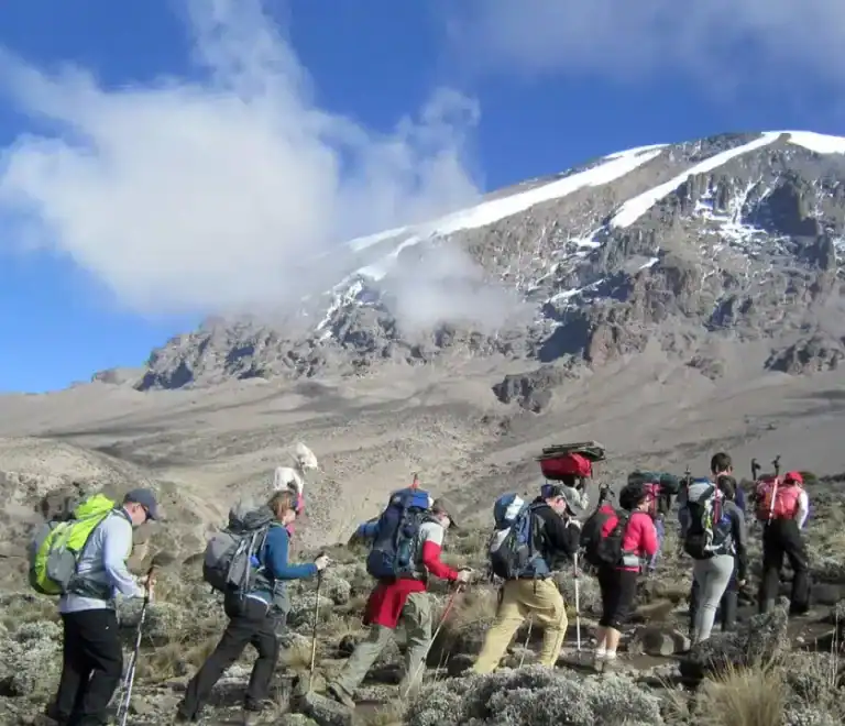6 Days Kilimanjaro Trekking | Lemosho Route
