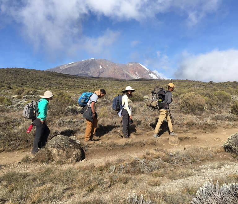 7 Days Kilimanjaro Umbwe Route Hiking