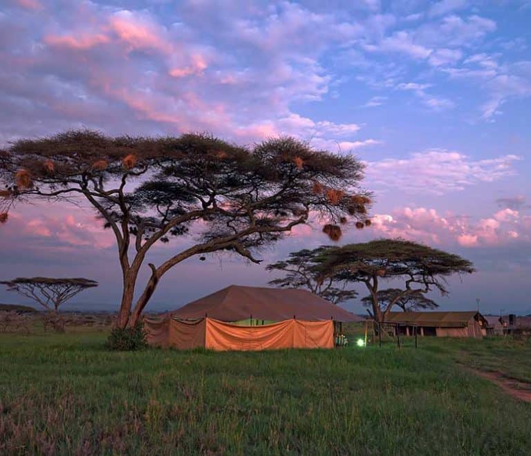 4 Days Tented Camp / Lodging Safari