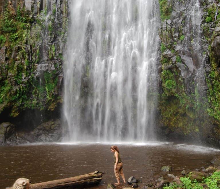 1-Day Cultural Tour, Waterfalls and Coffee Excursion