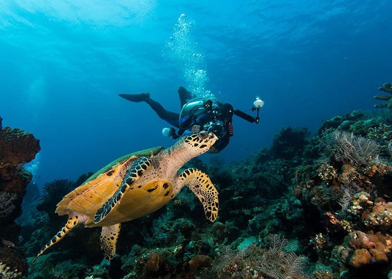 5 Days Zanzibar Beach Holiday